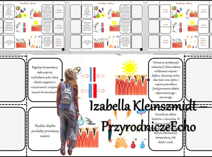 Duży komplet/zestaw notatek/sketchnotek/notatek okienkowych/interaktywnych notatek/stacji zadaniowych/wklejek do działu „ORGANIZM CZŁOWIEKA. SKÓRA - POWŁOKA ORGANIZMU. Wszystko w pdf. Biologia 7, dział Nowość 2024/2025. Notatki dostosowanie do nowej pods
