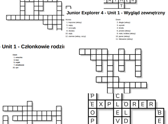 Junior Explorer 4 – Unit 1 – krzyżówki – Cechy_Inne słówka/Członkowie rodziny/Wygląd zewnętrzny