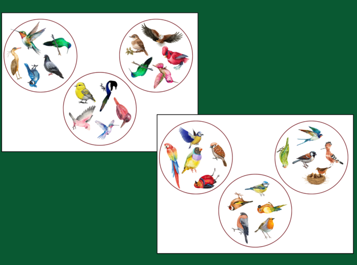 DZIEŃ PTAKÓW – dooble – WIOSNA - biblioteka – świetlica – przedszkole – 36 szt.