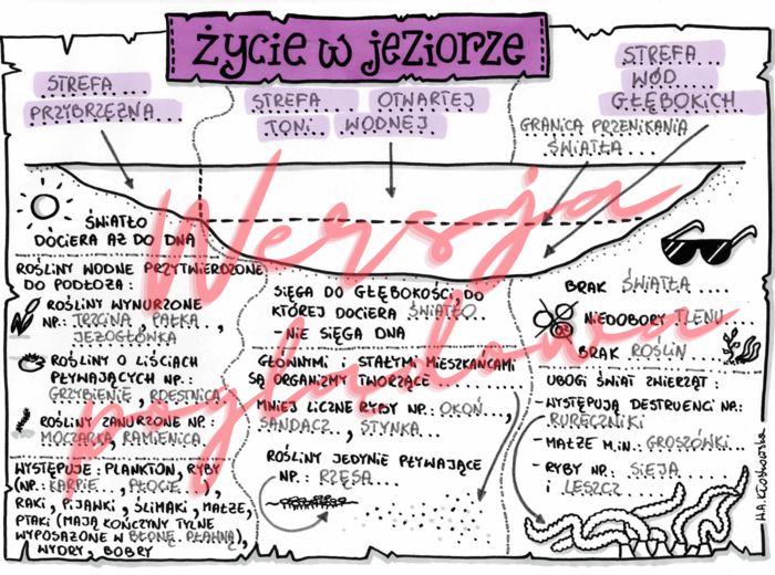 Życie w jeziorze -przyroda kl. 4 -wypełniona karta pracy