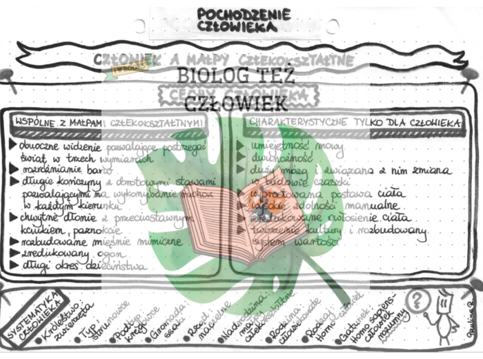 EWOLUCJONIZM (pochodzenie człowieka) – szrość