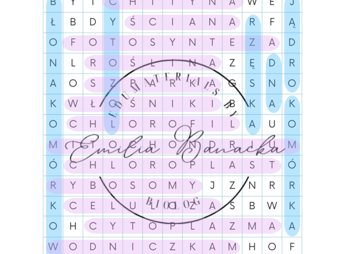 Wykreślanka "Komórki roślinne, zwierzęce, bakteryjne i grzybowe"