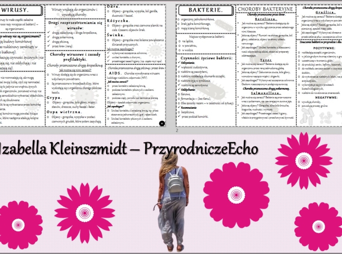 Sketchnotka/książeczka/notatka/wklejka/ściąga dla ucznia i przypomnienie dla nauczyciela/edukacja domowa. Temat „Wirusy i bakterie”. Materiał w pdf. Biologia 5, dział „Wirusy, bakterie, protisty i grzyby”. Nowość 2024/2025.