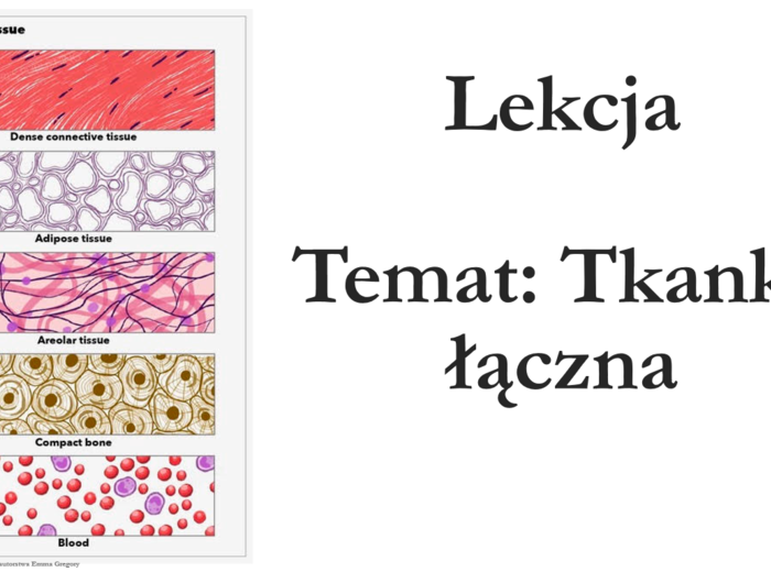 Klasa 6 - Tkanka łączna - prezentacja