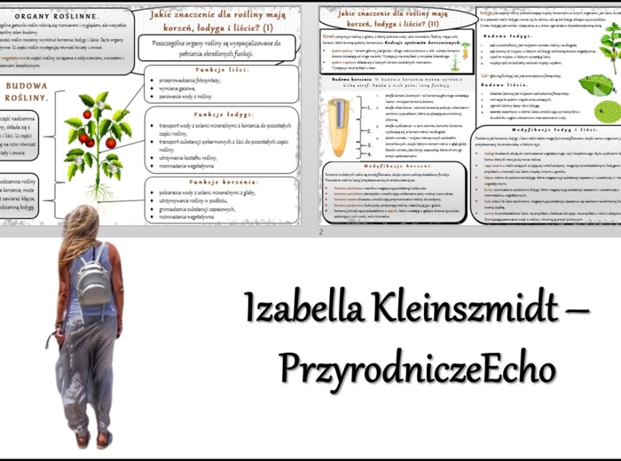 Sketchnotka/notatka/streszczenie/wklejka/ściąga dla ucznia i nauczyciela. Temat „Jakie znaczenie dla rośliny mają korzeń, łodyga i liście?” w pdf. Biologia 5 dział „Tkanki i organy roślinne”. Wykonana na podstawie podręcznika z wydawnictwa WSiP.