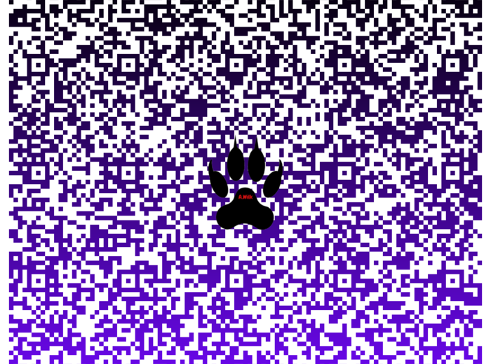 Innowacja programowo-metodyczna: Lektury w QRcodach