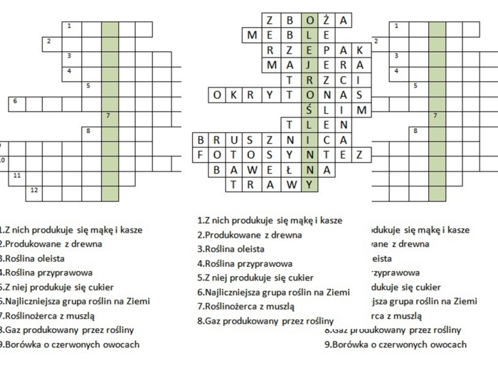 Logogryf dla klasy 5 na podsumowanie lekcji o znaczeniu roślin okrytonasiennych