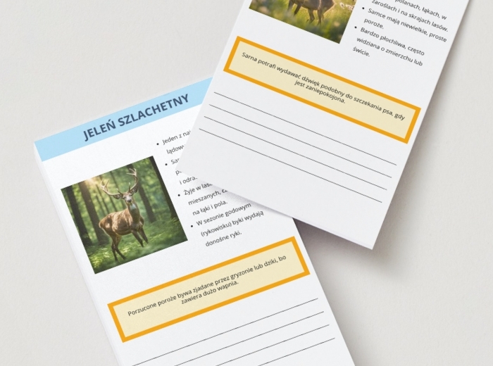 Karty z infografiką lokalnej fauny i flory. Gatunki roślin i zwierząt