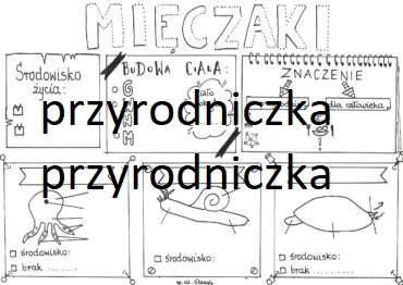 Biologia. Mięczaki - karta pracy