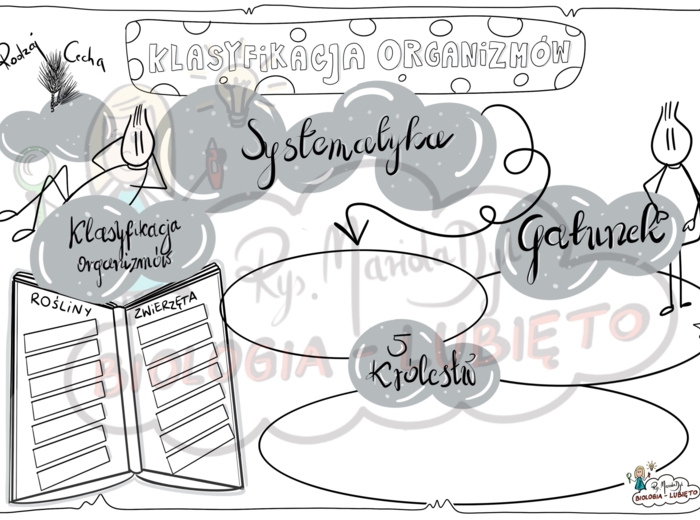 Klasa 5. Klasyfikacja organizmów. Karta pracy