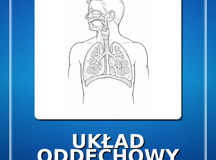 UKŁAD ODDECHOWY - plakat XL - kolorowanka - 4xA4 - miniatura A4