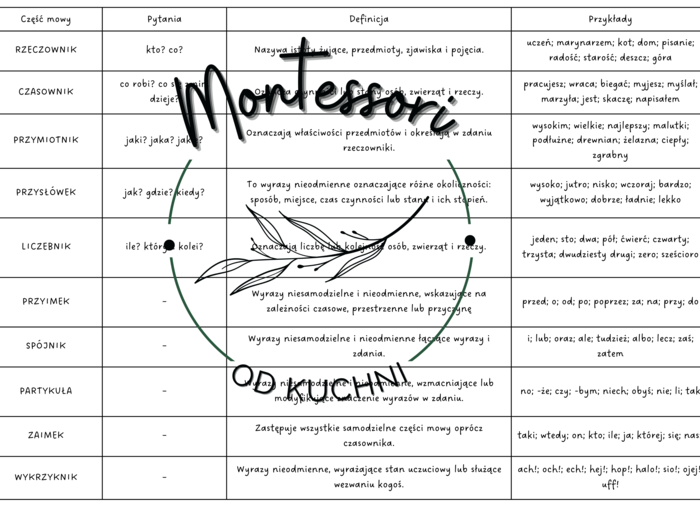 Części mowy – klasyfikacja (pytania, definicje, przykłady)