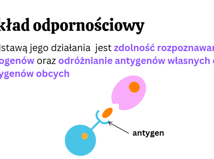 Budowa i funkcje układu odpornościowego 3 KLASA ROZSZERZENIE BIOLOGIA