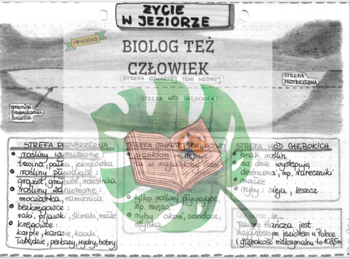 Życie w jeziorze - szarość