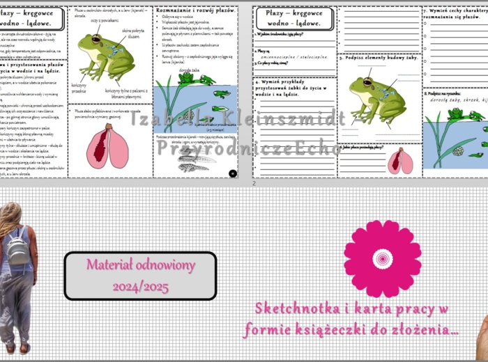 Minizestaw do tematu „Płazy-kręgowce wodno-lądowe” – sketchnotka + karta pracy w pdf + gratisowy link do prezentacji multimedialnej niekomercyjnej wykonanej w genial.ly do indywidualnego pobrania i użycia do celów niekomercyjnych. Biologia 6, Dział „Kręg