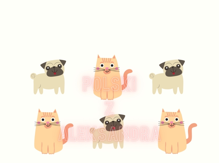 Lekcja jpjo poziom B1+