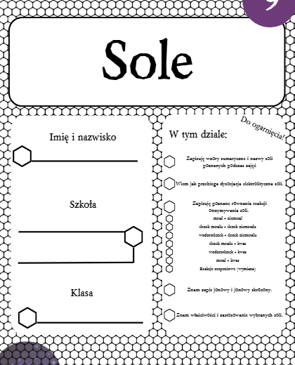 Karty pracy - Klasa 8. Chemia – Zestaw 6 kart pracy do działu 9 "Sole"
