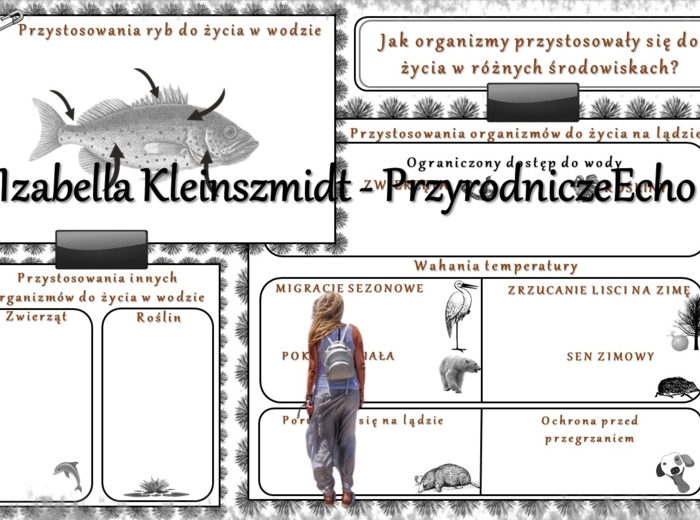Karta pracy „Jakie organizmy przystosowały się do życia w różnych środowiskach?” wykonana w power point do edycji. Przyroda 4, „Środowisko życia organizmów” na podstawie wydawnictwa WSiP