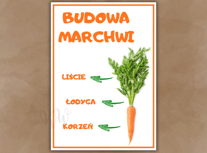 Dzień Marchewki - zestaw materiałów (2)