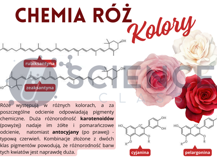 Gazetka walentynkowa do pracowni chemicznej