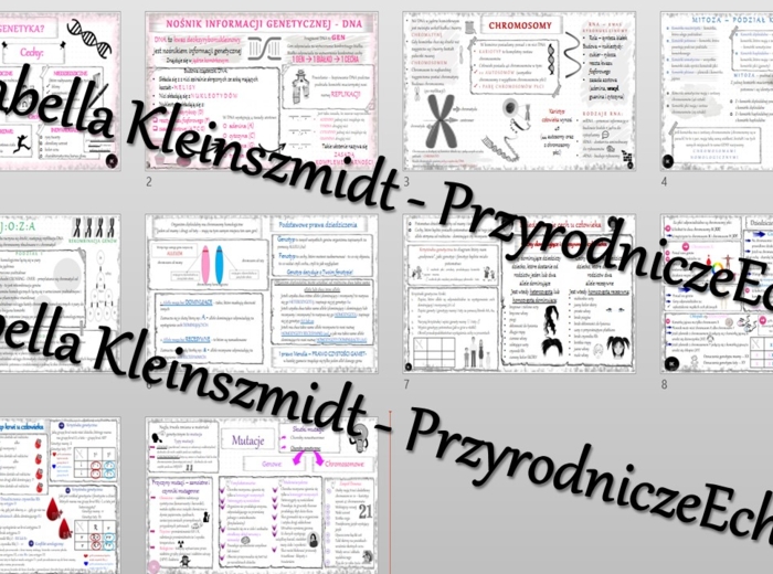 Zestaw sketchnotek – notatek do całego działu „GENETYKA” wykonanych w power point do edycji. Biologia 8