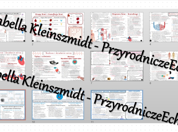 Zestaw sketchnotek – notatek do całego działu „Układ krążenia” wykonanych w power point do edycji. Biologia 7