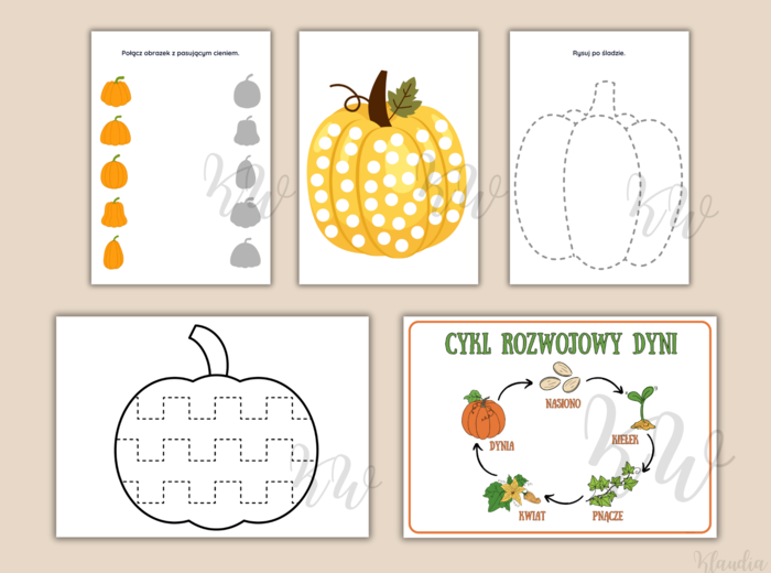 DZIEŃ DYNI - ZESTAW