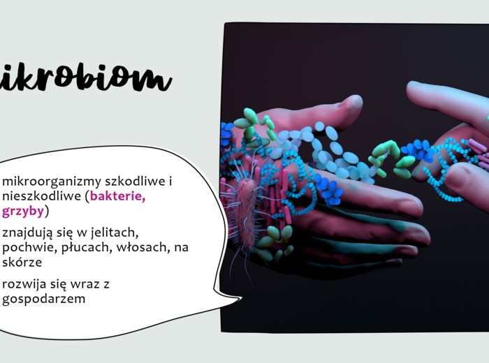 Układ pokarmowy 3 KLASA ROZSZERZONA BIOLOGIA