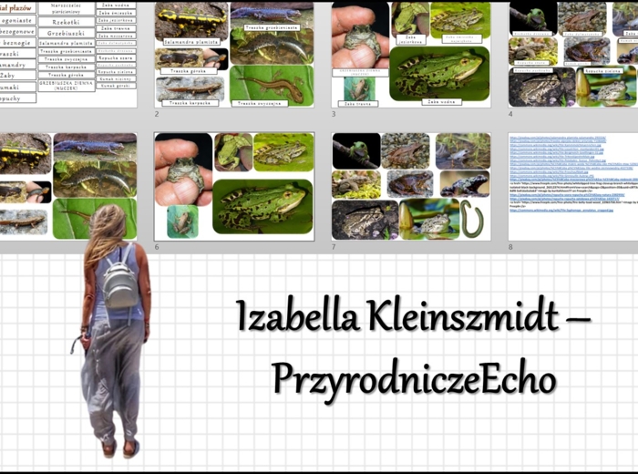 Materiał do zalaminowania/praca w grupach/stacje zadaniowe/układanka/puzzle „Przegląd i znaczenie płazów” w pdf. Biologia 6, dział „Kręgowce zmiennocieplne”.