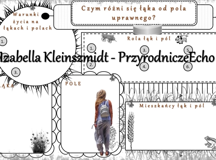 Karta pracy „Czym różni się łąka od pola uprawnego?” wykonana w power point do edycji. Przyroda 4, „Środowisko życia organizmów” na podstawie wydawnictwa WSiP