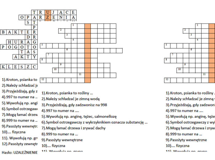Wprowadzenie do tematu o uzależnieniach- logogryf dla kl. 4 na lekcję przyrody