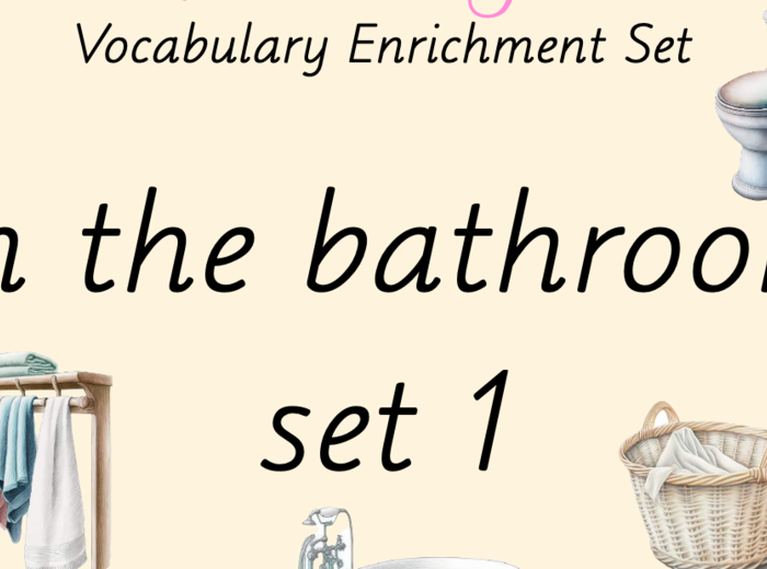 Zestaw kart obrazkowych: IN THE BATHROOM SET 1