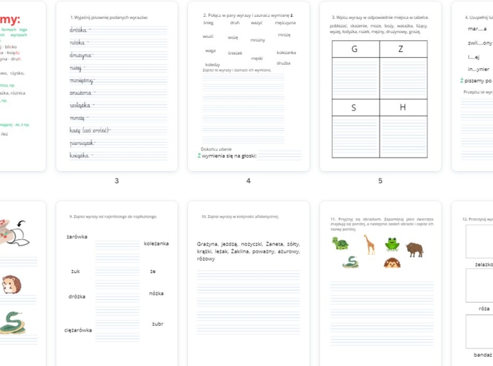 Zasady ortograficzne z Ż + zadania