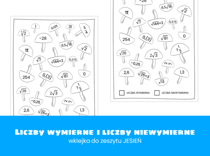Matematyka. Klasa 8. Liczby wymierne i liczby niewymierne. Wklejka do zeszytu. Jesień. Szkoła podstawowa.