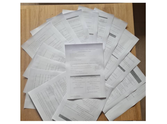 IPET. Indywidulany program edukacyjno - terapeutyczny.