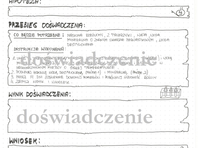 Doświadczenie - wpływ pierwiastków na rozwój rzeżuchy