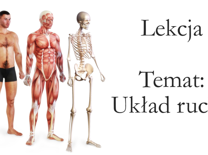 Klasa 4 - Układ ruchu - prezentacja