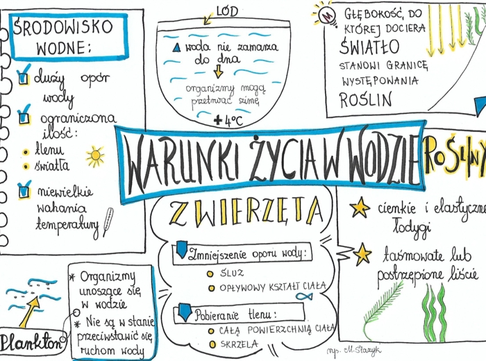 Warunki życia w wodzie