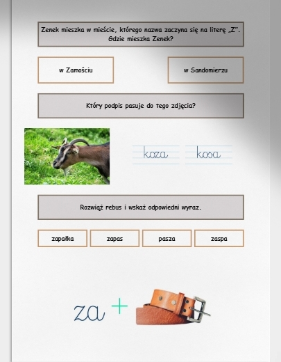 Z i z. Karta pracy. Sprawdzian