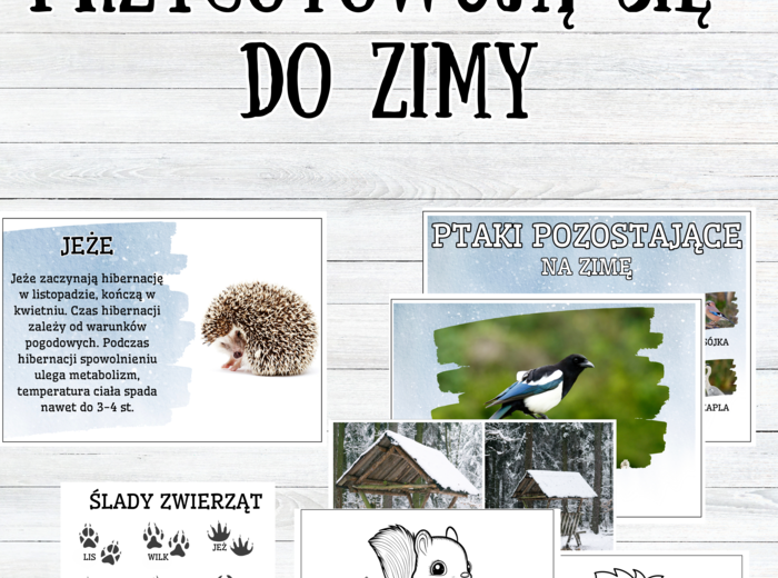 Zestaw ZWIERZĘTA PRZYGOTOWUJĄ SIĘ DO ZIMY
