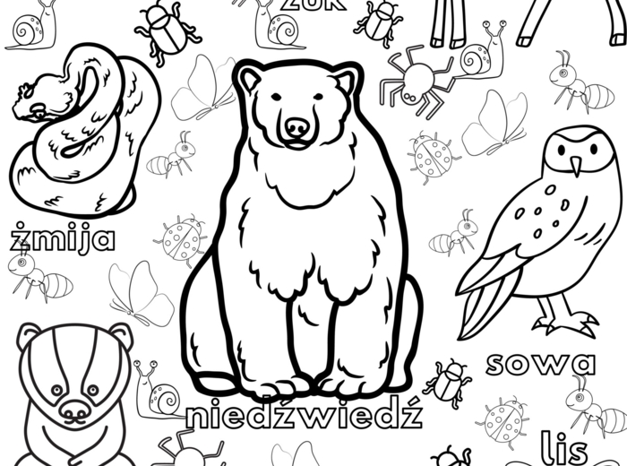 Kolorowanka XXL - leśne zwierzęta + nazwy