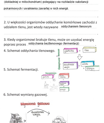 Sposoby oddychania organizmów (KP 2 uzupełniona)
