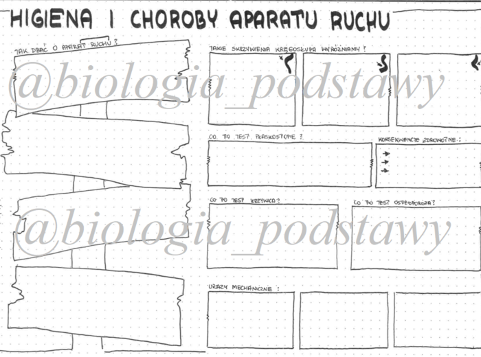 Klasa 7 - Higiena i choroby aparatu ruchu - sketchnotka KP