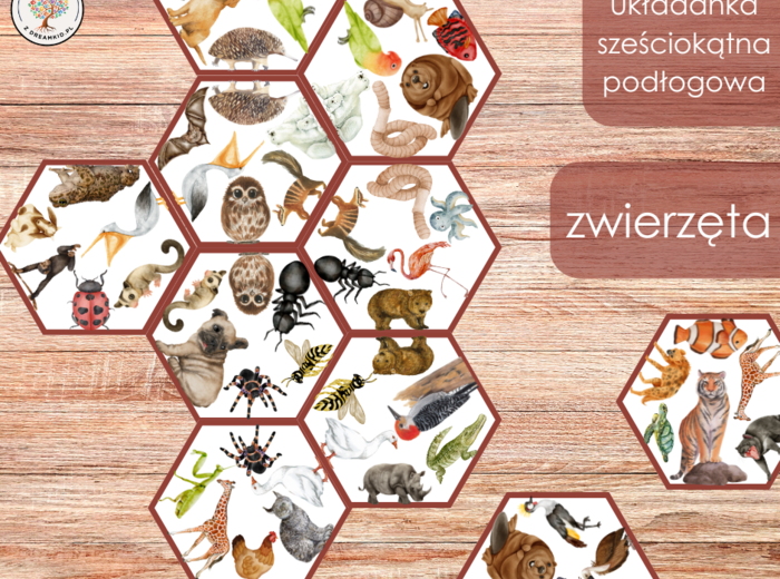 Układanka sześciokątna podłogowa - zwierzęta
