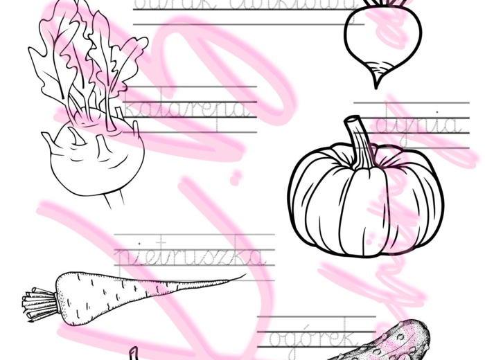 Jesień w polu i ogrodzie