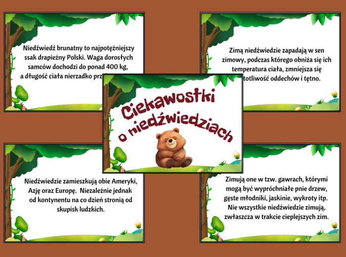 DZIEŃ NIEDŹWIEDZIA – GAZETKA – świetlica – biblioteka – świetlica – 16 stron