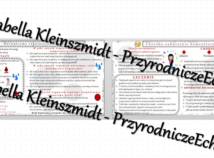 Zestaw sketchnotek – notatek do całego działu „Równowaga wewnętrzna organizmu” wykonanych w power point do edycji. Biologia 7