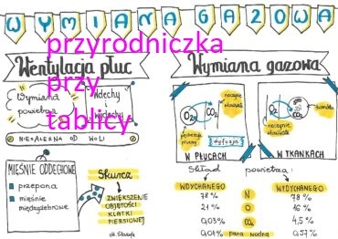 Klasa 7. Biologia. Wymiana gazowa