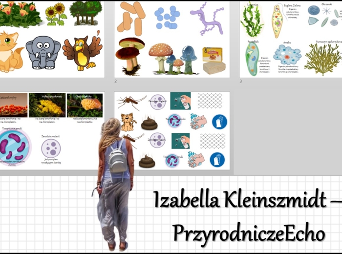 Materiał do zalaminowania/praca w grupach/stacje zadaniowe/układanka/puzzle „Różnorodność protistów” w pdf. Biologia 5, dział „Wirusy, bakterie, prostisty i grzyby”.