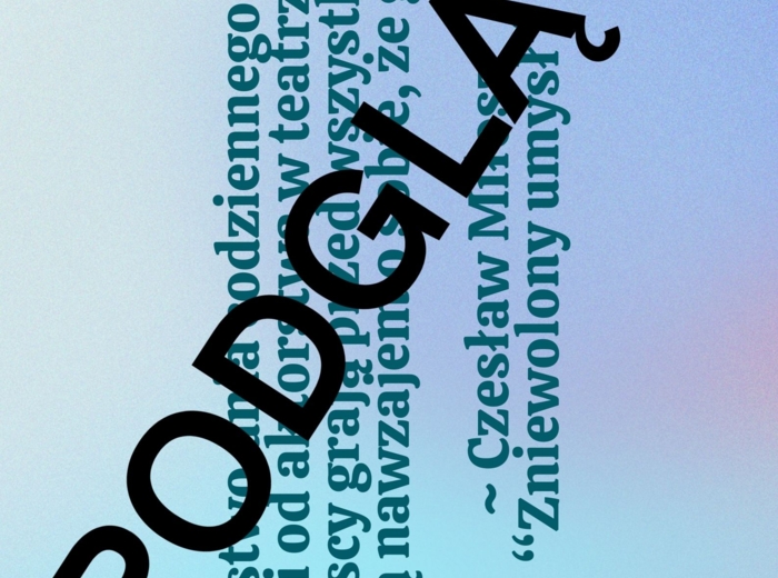 Polscy pisarze - gazetka